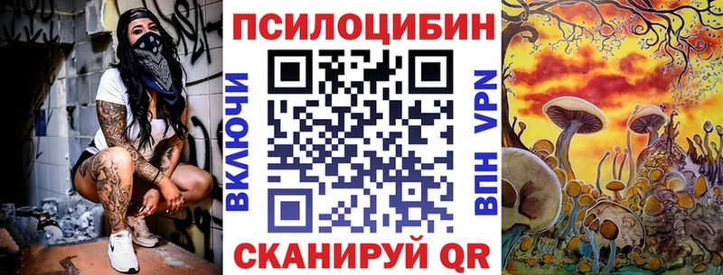 Псилоцибиновые грибы Psilocybine cubensis  Купить где  Городовиковск 